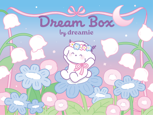 dreame box
