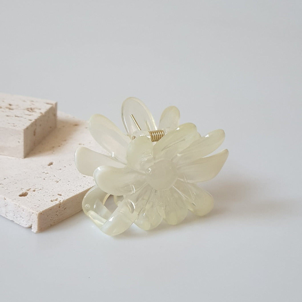 Clear plastic hair clip on